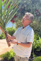yucca