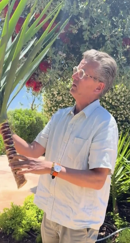 yucca