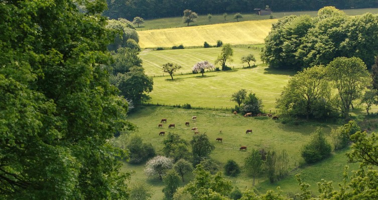 Agricultural projects